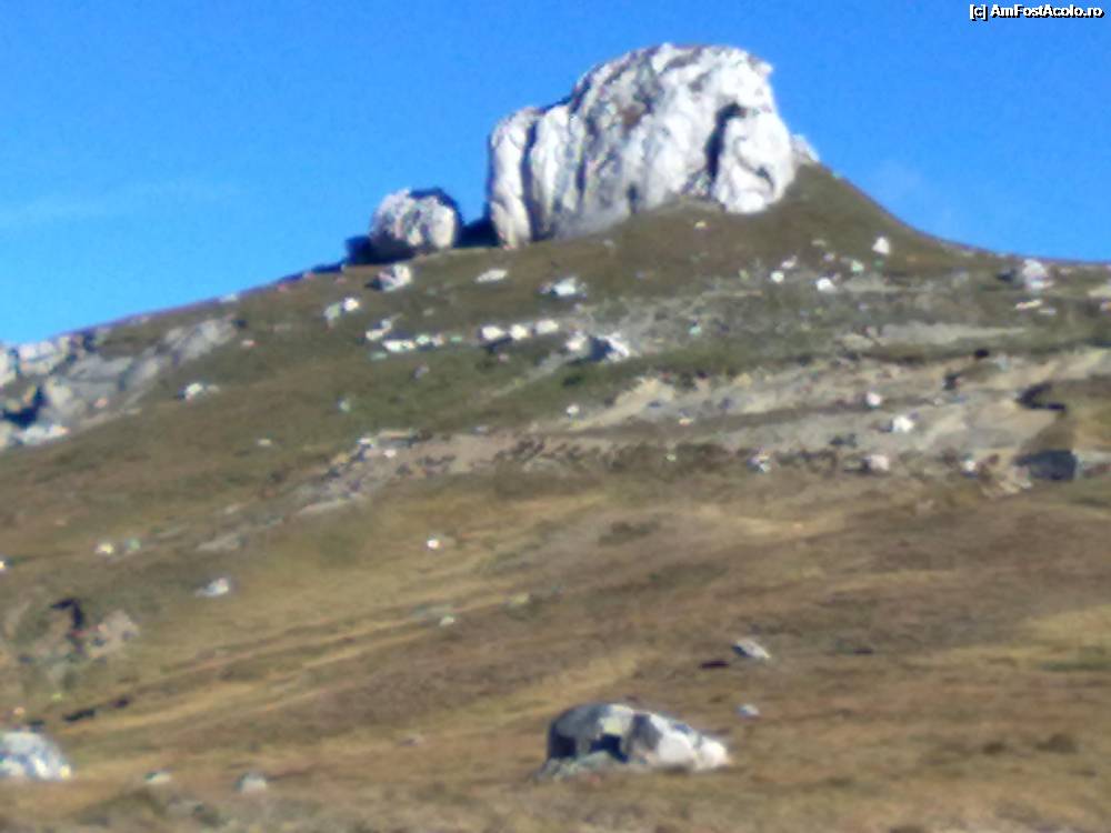 [P06]  -- <small>// FĂRĂ DESCRIERE</small> » foto by rita
 - 
<span class="allrVoted glyphicon glyphicon-heart hidden" id="av356138"></span>
<a class="m-l-10 hidden" id="sv356138" onclick="voting_Foto_DelVot(,356138,4076)" role="button">șterge vot <span class="glyphicon glyphicon-remove"></span></a>
<a id="v9356138" class=" c-red"  onclick="voting_Foto_SetVot(356138)" role="button"><span class="glyphicon glyphicon-heart-empty"></span> <b>LIKE</b> = Votează poza</a> <img class="hidden"  id="f356138W9" src="/imagini/loader.gif" border="0" /><span class="AjErrMes hidden" id="e356138ErM"></span>