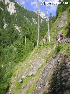 [P01] pe Jepii Mici » foto by kata0587
 - 
<span class="allrVoted glyphicon glyphicon-heart hidden" id="av396401"></span>
<a class="m-l-10 hidden" id="sv396401" onclick="voting_Foto_DelVot(,396401,4076)" role="button">șterge vot <span class="glyphicon glyphicon-remove"></span></a>
<a id="v9396401" class=" c-red"  onclick="voting_Foto_SetVot(396401)" role="button"><span class="glyphicon glyphicon-heart-empty"></span> <b>LIKE</b> = Votează poza</a> <img class="hidden"  id="f396401W9" src="/imagini/loader.gif" border="0" /><span class="AjErrMes hidden" id="e396401ErM"></span>