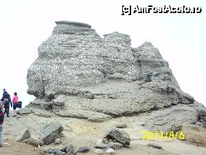 [P10] Sfinx » foto by kata0587
 - 
<span class="allrVoted glyphicon glyphicon-heart hidden" id="av396410"></span>
<a class="m-l-10 hidden" id="sv396410" onclick="voting_Foto_DelVot(,396410,4076)" role="button">șterge vot <span class="glyphicon glyphicon-remove"></span></a>
<a id="v9396410" class=" c-red"  onclick="voting_Foto_SetVot(396410)" role="button"><span class="glyphicon glyphicon-heart-empty"></span> <b>LIKE</b> = Votează poza</a> <img class="hidden"  id="f396410W9" src="/imagini/loader.gif" border="0" /><span class="AjErrMes hidden" id="e396410ErM"></span>