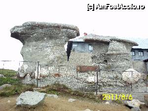 [P11] Babele » foto by kata0587
 - 
<span class="allrVoted glyphicon glyphicon-heart hidden" id="av396411"></span>
<a class="m-l-10 hidden" id="sv396411" onclick="voting_Foto_DelVot(,396411,4076)" role="button">șterge vot <span class="glyphicon glyphicon-remove"></span></a>
<a id="v9396411" class=" c-red"  onclick="voting_Foto_SetVot(396411)" role="button"><span class="glyphicon glyphicon-heart-empty"></span> <b>LIKE</b> = Votează poza</a> <img class="hidden"  id="f396411W9" src="/imagini/loader.gif" border="0" /><span class="AjErrMes hidden" id="e396411ErM"></span>