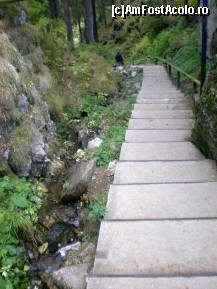 [P10] spre Peștera Ialomiței » foto by kata0587
 - 
<span class="allrVoted glyphicon glyphicon-heart hidden" id="av396535"></span>
<a class="m-l-10 hidden" id="sv396535" onclick="voting_Foto_DelVot(,396535,4076)" role="button">șterge vot <span class="glyphicon glyphicon-remove"></span></a>
<a id="v9396535" class=" c-red"  onclick="voting_Foto_SetVot(396535)" role="button"><span class="glyphicon glyphicon-heart-empty"></span> <b>LIKE</b> = Votează poza</a> <img class="hidden"  id="f396535W9" src="/imagini/loader.gif" border="0" /><span class="AjErrMes hidden" id="e396535ErM"></span>