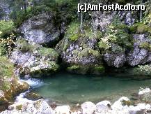 [P15] ochi de apă » foto by kata0587
 - 
<span class="allrVoted glyphicon glyphicon-heart hidden" id="av396540"></span>
<a class="m-l-10 hidden" id="sv396540" onclick="voting_Foto_DelVot(,396540,4076)" role="button">șterge vot <span class="glyphicon glyphicon-remove"></span></a>
<a id="v9396540" class=" c-red"  onclick="voting_Foto_SetVot(396540)" role="button"><span class="glyphicon glyphicon-heart-empty"></span> <b>LIKE</b> = Votează poza</a> <img class="hidden"  id="f396540W9" src="/imagini/loader.gif" border="0" /><span class="AjErrMes hidden" id="e396540ErM"></span>