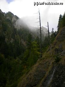 [P02] începe să se ridice ceața » foto by kata0587
 - 
<span class="allrVoted glyphicon glyphicon-heart hidden" id="av396527"></span>
<a class="m-l-10 hidden" id="sv396527" onclick="voting_Foto_DelVot(,396527,4076)" role="button">șterge vot <span class="glyphicon glyphicon-remove"></span></a>
<a id="v9396527" class=" c-red"  onclick="voting_Foto_SetVot(396527)" role="button"><span class="glyphicon glyphicon-heart-empty"></span> <b>LIKE</b> = Votează poza</a> <img class="hidden"  id="f396527W9" src="/imagini/loader.gif" border="0" /><span class="AjErrMes hidden" id="e396527ErM"></span>