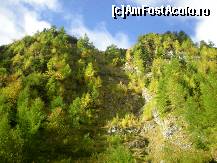 [P03] peisaj de toamnă pe Jepii Mici » foto by kata0587
 - 
<span class="allrVoted glyphicon glyphicon-heart hidden" id="av396528"></span>
<a class="m-l-10 hidden" id="sv396528" onclick="voting_Foto_DelVot(,396528,4076)" role="button">șterge vot <span class="glyphicon glyphicon-remove"></span></a>
<a id="v9396528" class=" c-red"  onclick="voting_Foto_SetVot(396528)" role="button"><span class="glyphicon glyphicon-heart-empty"></span> <b>LIKE</b> = Votează poza</a> <img class="hidden"  id="f396528W9" src="/imagini/loader.gif" border="0" /><span class="AjErrMes hidden" id="e396528ErM"></span>