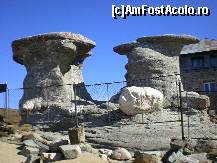 [P06] Babutele » foto by kata0587
 - 
<span class="allrVoted glyphicon glyphicon-heart hidden" id="av396531"></span>
<a class="m-l-10 hidden" id="sv396531" onclick="voting_Foto_DelVot(,396531,4076)" role="button">șterge vot <span class="glyphicon glyphicon-remove"></span></a>
<a id="v9396531" class=" c-red"  onclick="voting_Foto_SetVot(396531)" role="button"><span class="glyphicon glyphicon-heart-empty"></span> <b>LIKE</b> = Votează poza</a> <img class="hidden"  id="f396531W9" src="/imagini/loader.gif" border="0" /><span class="AjErrMes hidden" id="e396531ErM"></span>