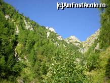 [P01] Valea Jepilor » foto by kata0587
 - 
<span class="allrVoted glyphicon glyphicon-heart hidden" id="av396599"></span>
<a class="m-l-10 hidden" id="sv396599" onclick="voting_Foto_DelVot(,396599,4076)" role="button">șterge vot <span class="glyphicon glyphicon-remove"></span></a>
<a id="v9396599" class=" c-red"  onclick="voting_Foto_SetVot(396599)" role="button"><span class="glyphicon glyphicon-heart-empty"></span> <b>LIKE</b> = Votează poza</a> <img class="hidden"  id="f396599W9" src="/imagini/loader.gif" border="0" /><span class="AjErrMes hidden" id="e396599ErM"></span>