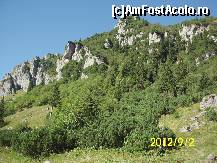 [P35] creste » foto by kata0587
 - 
<span class="allrVoted glyphicon glyphicon-heart hidden" id="av396703"></span>
<a class="m-l-10 hidden" id="sv396703" onclick="voting_Foto_DelVot(,396703,4076)" role="button">șterge vot <span class="glyphicon glyphicon-remove"></span></a>
<a id="v9396703" class=" c-red"  onclick="voting_Foto_SetVot(396703)" role="button"><span class="glyphicon glyphicon-heart-empty"></span> <b>LIKE</b> = Votează poza</a> <img class="hidden"  id="f396703W9" src="/imagini/loader.gif" border="0" /><span class="AjErrMes hidden" id="e396703ErM"></span>