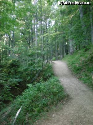 [P05] pe carari de padure » foto by kata0587
 - 
<span class="allrVoted glyphicon glyphicon-heart hidden" id="av396905"></span>
<a class="m-l-10 hidden" id="sv396905" onclick="voting_Foto_DelVot(,396905,4076)" role="button">șterge vot <span class="glyphicon glyphicon-remove"></span></a>
<a id="v9396905" class=" c-red"  onclick="voting_Foto_SetVot(396905)" role="button"><span class="glyphicon glyphicon-heart-empty"></span> <b>LIKE</b> = Votează poza</a> <img class="hidden"  id="f396905W9" src="/imagini/loader.gif" border="0" /><span class="AjErrMes hidden" id="e396905ErM"></span>