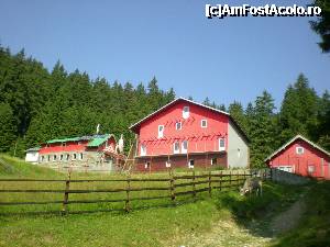 [P08] Cabana Poiana Izvoarelor » foto by kata0587
 - 
<span class="allrVoted glyphicon glyphicon-heart hidden" id="av396908"></span>
<a class="m-l-10 hidden" id="sv396908" onclick="voting_Foto_DelVot(,396908,4076)" role="button">șterge vot <span class="glyphicon glyphicon-remove"></span></a>
<a id="v9396908" class=" c-red"  onclick="voting_Foto_SetVot(396908)" role="button"><span class="glyphicon glyphicon-heart-empty"></span> <b>LIKE</b> = Votează poza</a> <img class="hidden"  id="f396908W9" src="/imagini/loader.gif" border="0" /><span class="AjErrMes hidden" id="e396908ErM"></span>