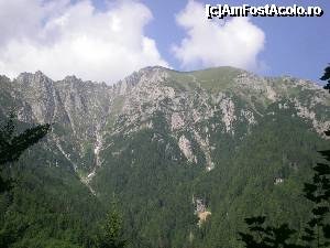 [P09] Bucegi » foto by kata0587
 - 
<span class="allrVoted glyphicon glyphicon-heart hidden" id="av396910"></span>
<a class="m-l-10 hidden" id="sv396910" onclick="voting_Foto_DelVot(,396910,4076)" role="button">șterge vot <span class="glyphicon glyphicon-remove"></span></a>
<a id="v9396910" class=" c-red"  onclick="voting_Foto_SetVot(396910)" role="button"><span class="glyphicon glyphicon-heart-empty"></span> <b>LIKE</b> = Votează poza</a> <img class="hidden"  id="f396910W9" src="/imagini/loader.gif" border="0" /><span class="AjErrMes hidden" id="e396910ErM"></span>