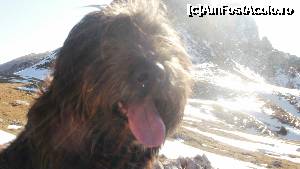 [P22] eu nu stiu cum vedea...  » foto by Nicu V
 - 
<span class="allrVoted glyphicon glyphicon-heart hidden" id="av394791"></span>
<a class="m-l-10 hidden" id="sv394791" onclick="voting_Foto_DelVot(,394791,4076)" role="button">șterge vot <span class="glyphicon glyphicon-remove"></span></a>
<a id="v9394791" class=" c-red"  onclick="voting_Foto_SetVot(394791)" role="button"><span class="glyphicon glyphicon-heart-empty"></span> <b>LIKE</b> = Votează poza</a> <img class="hidden"  id="f394791W9" src="/imagini/loader.gif" border="0" /><span class="AjErrMes hidden" id="e394791ErM"></span>