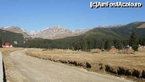 [P04] primul contact vizual- senzational » foto by Nicu V
 - 
<span class="allrVoted glyphicon glyphicon-heart hidden" id="av394773"></span>
<a class="m-l-10 hidden" id="sv394773" onclick="voting_Foto_DelVot(,394773,4076)" role="button">șterge vot <span class="glyphicon glyphicon-remove"></span></a>
<a id="v9394773" class=" c-red"  onclick="voting_Foto_SetVot(394773)" role="button"><span class="glyphicon glyphicon-heart-empty"></span> <b>LIKE</b> = Votează poza</a> <img class="hidden"  id="f394773W9" src="/imagini/loader.gif" border="0" /><span class="AjErrMes hidden" id="e394773ErM"></span>