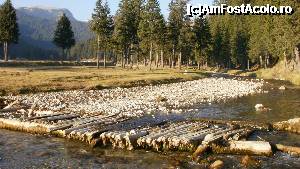 [P48] Ialomita...  » foto by Nicu V
 - 
<span class="allrVoted glyphicon glyphicon-heart hidden" id="av394817"></span>
<a class="m-l-10 hidden" id="sv394817" onclick="voting_Foto_DelVot(,394817,4076)" role="button">șterge vot <span class="glyphicon glyphicon-remove"></span></a>
<a id="v9394817" class=" c-red"  onclick="voting_Foto_SetVot(394817)" role="button"><span class="glyphicon glyphicon-heart-empty"></span> <b>LIKE</b> = Votează poza</a> <img class="hidden"  id="f394817W9" src="/imagini/loader.gif" border="0" /><span class="AjErrMes hidden" id="e394817ErM"></span>