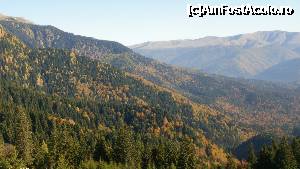 [P51] si acum culorile toamnei » foto by Nicu V
 - 
<span class="allrVoted glyphicon glyphicon-heart hidden" id="av394820"></span>
<a class="m-l-10 hidden" id="sv394820" onclick="voting_Foto_DelVot(,394820,4076)" role="button">șterge vot <span class="glyphicon glyphicon-remove"></span></a>
<a id="v9394820" class=" c-red"  onclick="voting_Foto_SetVot(394820)" role="button"><span class="glyphicon glyphicon-heart-empty"></span> <b>LIKE</b> = Votează poza</a> <img class="hidden"  id="f394820W9" src="/imagini/loader.gif" border="0" /><span class="AjErrMes hidden" id="e394820ErM"></span>