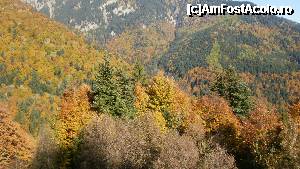 [P53] ce sa mai spun eu...  » foto by Nicu V
 - 
<span class="allrVoted glyphicon glyphicon-heart hidden" id="av394822"></span>
<a class="m-l-10 hidden" id="sv394822" onclick="voting_Foto_DelVot(,394822,4076)" role="button">șterge vot <span class="glyphicon glyphicon-remove"></span></a>
<a id="v9394822" class=" c-red"  onclick="voting_Foto_SetVot(394822)" role="button"><span class="glyphicon glyphicon-heart-empty"></span> <b>LIKE</b> = Votează poza</a> <img class="hidden"  id="f394822W9" src="/imagini/loader.gif" border="0" /><span class="AjErrMes hidden" id="e394822ErM"></span>