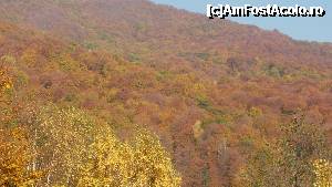 [P58] ultima-pentru un final naucitor » foto by Nicu V
 - 
<span class="allrVoted glyphicon glyphicon-heart hidden" id="av394827"></span>
<a class="m-l-10 hidden" id="sv394827" onclick="voting_Foto_DelVot(,394827,4076)" role="button">șterge vot <span class="glyphicon glyphicon-remove"></span></a>
<a id="v9394827" class=" c-red"  onclick="voting_Foto_SetVot(394827)" role="button"><span class="glyphicon glyphicon-heart-empty"></span> <b>LIKE</b> = Votează poza</a> <img class="hidden"  id="f394827W9" src="/imagini/loader.gif" border="0" /><span class="AjErrMes hidden" id="e394827ErM"></span>