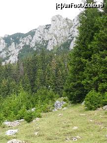 [P25]  -- <small>// FĂRĂ DESCRIERE</small> » foto by florentin_dobre
 - 
<span class="allrVoted glyphicon glyphicon-heart hidden" id="av462553"></span>
<a class="m-l-10 hidden" id="sv462553" onclick="voting_Foto_DelVot(,462553,4076)" role="button">șterge vot <span class="glyphicon glyphicon-remove"></span></a>
<a id="v9462553" class=" c-red"  onclick="voting_Foto_SetVot(462553)" role="button"><span class="glyphicon glyphicon-heart-empty"></span> <b>LIKE</b> = Votează poza</a> <img class="hidden"  id="f462553W9" src="/imagini/loader.gif" border="0" /><span class="AjErrMes hidden" id="e462553ErM"></span>