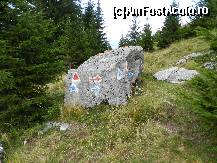 [P26] intersectie de trasee, imposibil sa te ratacesti » foto by florentin_dobre
 - 
<span class="allrVoted glyphicon glyphicon-heart hidden" id="av462554"></span>
<a class="m-l-10 hidden" id="sv462554" onclick="voting_Foto_DelVot(,462554,4076)" role="button">șterge vot <span class="glyphicon glyphicon-remove"></span></a>
<a id="v9462554" class=" c-red"  onclick="voting_Foto_SetVot(462554)" role="button"><span class="glyphicon glyphicon-heart-empty"></span> <b>LIKE</b> = Votează poza</a> <img class="hidden"  id="f462554W9" src="/imagini/loader.gif" border="0" /><span class="AjErrMes hidden" id="e462554ErM"></span>