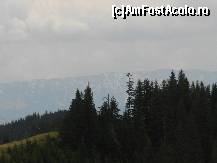 [P28] Sa ma mai uit un pic la Piatra Craiului » foto by florentin_dobre
 - 
<span class="allrVoted glyphicon glyphicon-heart hidden" id="av462556"></span>
<a class="m-l-10 hidden" id="sv462556" onclick="voting_Foto_DelVot(,462556,4076)" role="button">șterge vot <span class="glyphicon glyphicon-remove"></span></a>
<a id="v9462556" class=" c-red"  onclick="voting_Foto_SetVot(462556)" role="button"><span class="glyphicon glyphicon-heart-empty"></span> <b>LIKE</b> = Votează poza</a> <img class="hidden"  id="f462556W9" src="/imagini/loader.gif" border="0" /><span class="AjErrMes hidden" id="e462556ErM"></span>