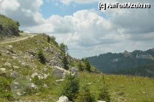 [P04] Spre Podul cu flori » foto by alexionescu
 - 
<span class="allrVoted glyphicon glyphicon-heart hidden" id="av337339"></span>
<a class="m-l-10 hidden" id="sv337339" onclick="voting_Foto_DelVot(,337339,4076)" role="button">șterge vot <span class="glyphicon glyphicon-remove"></span></a>
<a id="v9337339" class=" c-red"  onclick="voting_Foto_SetVot(337339)" role="button"><span class="glyphicon glyphicon-heart-empty"></span> <b>LIKE</b> = Votează poza</a> <img class="hidden"  id="f337339W9" src="/imagini/loader.gif" border="0" /><span class="AjErrMes hidden" id="e337339ErM"></span>