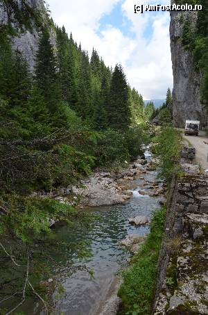 [P08] Cheile Tatarului » foto by alexionescu
 - 
<span class="allrVoted glyphicon glyphicon-heart hidden" id="av337343"></span>
<a class="m-l-10 hidden" id="sv337343" onclick="voting_Foto_DelVot(,337343,4076)" role="button">șterge vot <span class="glyphicon glyphicon-remove"></span></a>
<a id="v9337343" class=" c-red"  onclick="voting_Foto_SetVot(337343)" role="button"><span class="glyphicon glyphicon-heart-empty"></span> <b>LIKE</b> = Votează poza</a> <img class="hidden"  id="f337343W9" src="/imagini/loader.gif" border="0" /><span class="AjErrMes hidden" id="e337343ErM"></span>