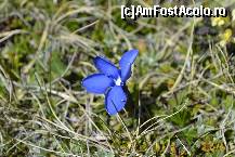 [P31] Floricica cu petala indoita din rw :) » foto by MCM
 - 
<span class="allrVoted glyphicon glyphicon-heart hidden" id="av324879"></span>
<a class="m-l-10 hidden" id="sv324879" onclick="voting_Foto_DelVot(,324879,4076)" role="button">șterge vot <span class="glyphicon glyphicon-remove"></span></a>
<a id="v9324879" class=" c-red"  onclick="voting_Foto_SetVot(324879)" role="button"><span class="glyphicon glyphicon-heart-empty"></span> <b>LIKE</b> = Votează poza</a> <img class="hidden"  id="f324879W9" src="/imagini/loader.gif" border="0" /><span class="AjErrMes hidden" id="e324879ErM"></span>