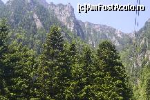 [P06] Acestia sunt brazii, a caror freza am facut-o, in momentul in care am trecut cu telecabina pe langa ei. » foto by MCM
 - 
<span class="allrVoted glyphicon glyphicon-heart hidden" id="av324854"></span>
<a class="m-l-10 hidden" id="sv324854" onclick="voting_Foto_DelVot(,324854,4076)" role="button">șterge vot <span class="glyphicon glyphicon-remove"></span></a>
<a id="v9324854" class=" c-red"  onclick="voting_Foto_SetVot(324854)" role="button"><span class="glyphicon glyphicon-heart-empty"></span> <b>LIKE</b> = Votează poza</a> <img class="hidden"  id="f324854W9" src="/imagini/loader.gif" border="0" /><span class="AjErrMes hidden" id="e324854ErM"></span>