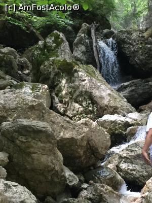 [P16] se poate cobori din cand in cand in firul apei pentru a prinde cadre mai interesante pentru pozat » foto by Dan&Ema
 - 
<span class="allrVoted glyphicon glyphicon-heart hidden" id="av889900"></span>
<a class="m-l-10 hidden" id="sv889900" onclick="voting_Foto_DelVot(,889900,4076)" role="button">șterge vot <span class="glyphicon glyphicon-remove"></span></a>
<a id="v9889900" class=" c-red"  onclick="voting_Foto_SetVot(889900)" role="button"><span class="glyphicon glyphicon-heart-empty"></span> <b>LIKE</b> = Votează poza</a> <img class="hidden"  id="f889900W9" src="/imagini/loader.gif" border="0" /><span class="AjErrMes hidden" id="e889900ErM"></span>