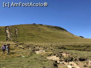 [P41]  -- <small>// FĂRĂ DESCRIERE</small> » foto by Dan&Ema
 - 
<span class="allrVoted glyphicon glyphicon-heart hidden" id="av999438"></span>
<a class="m-l-10 hidden" id="sv999438" onclick="voting_Foto_DelVot(,999438,4076)" role="button">șterge vot <span class="glyphicon glyphicon-remove"></span></a>
<a id="v9999438" class=" c-red"  onclick="voting_Foto_SetVot(999438)" role="button"><span class="glyphicon glyphicon-heart-empty"></span> <b>LIKE</b> = Votează poza</a> <img class="hidden"  id="f999438W9" src="/imagini/loader.gif" border="0" /><span class="AjErrMes hidden" id="e999438ErM"></span>