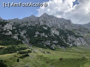 [P04] De ce m-am indragostit de Malaiesti - Vedere asupra Bucsoiului » foto by Dan&Ema
 - 
<span class="allrVoted glyphicon glyphicon-heart hidden" id="av1101480"></span>
<a class="m-l-10 hidden" id="sv1101480" onclick="voting_Foto_DelVot(,1101480,4076)" role="button">șterge vot <span class="glyphicon glyphicon-remove"></span></a>
<a id="v91101480" class=" c-red"  onclick="voting_Foto_SetVot(1101480)" role="button"><span class="glyphicon glyphicon-heart-empty"></span> <b>LIKE</b> = Votează poza</a> <img class="hidden"  id="f1101480W9" src="/imagini/loader.gif" border="0" /><span class="AjErrMes hidden" id="e1101480ErM"></span>