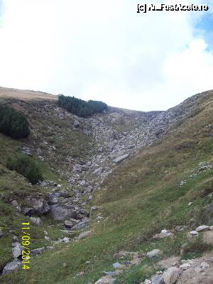 [P19]  -- <small>// FĂRĂ DESCRIERE</small> » foto by DanTal74
 - 
<span class="allrVoted glyphicon glyphicon-heart hidden" id="av691542"></span>
<a class="m-l-10 hidden" id="sv691542" onclick="voting_Foto_DelVot(,691542,4076)" role="button">șterge vot <span class="glyphicon glyphicon-remove"></span></a>
<a id="v9691542" class=" c-red"  onclick="voting_Foto_SetVot(691542)" role="button"><span class="glyphicon glyphicon-heart-empty"></span> <b>LIKE</b> = Votează poza</a> <img class="hidden"  id="f691542W9" src="/imagini/loader.gif" border="0" /><span class="AjErrMes hidden" id="e691542ErM"></span>