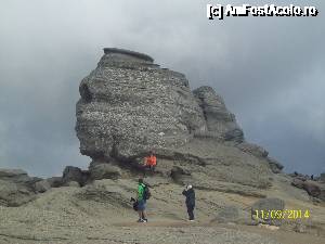 [P65] Sfinxul.  » foto by DanTal74
 - 
<span class="allrVoted glyphicon glyphicon-heart hidden" id="av691588"></span>
<a class="m-l-10 hidden" id="sv691588" onclick="voting_Foto_DelVot(,691588,4076)" role="button">șterge vot <span class="glyphicon glyphicon-remove"></span></a>
<a id="v9691588" class=" c-red"  onclick="voting_Foto_SetVot(691588)" role="button"><span class="glyphicon glyphicon-heart-empty"></span> <b>LIKE</b> = Votează poza</a> <img class="hidden"  id="f691588W9" src="/imagini/loader.gif" border="0" /><span class="AjErrMes hidden" id="e691588ErM"></span>