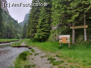 [P24] Cheile Zănoagei » foto by Dana2008
 - 
<span class="allrVoted glyphicon glyphicon-heart hidden" id="av1080422"></span>
<a class="m-l-10 hidden" id="sv1080422" onclick="voting_Foto_DelVot(,1080422,4076)" role="button">șterge vot <span class="glyphicon glyphicon-remove"></span></a>
<a id="v91080422" class=" c-red"  onclick="voting_Foto_SetVot(1080422)" role="button"><span class="glyphicon glyphicon-heart-empty"></span> <b>LIKE</b> = Votează poza</a> <img class="hidden"  id="f1080422W9" src="/imagini/loader.gif" border="0" /><span class="AjErrMes hidden" id="e1080422ErM"></span>