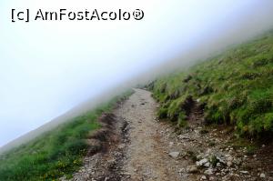 [P27]  -- <small>// FĂRĂ DESCRIERE</small> » foto by AZE
 - 
<span class="allrVoted glyphicon glyphicon-heart hidden" id="av996772"></span>
<a class="m-l-10 hidden" id="sv996772" onclick="voting_Foto_DelVot(,996772,4076)" role="button">șterge vot <span class="glyphicon glyphicon-remove"></span></a>
<a id="v9996772" class=" c-red"  onclick="voting_Foto_SetVot(996772)" role="button"><span class="glyphicon glyphicon-heart-empty"></span> <b>LIKE</b> = Votează poza</a> <img class="hidden"  id="f996772W9" src="/imagini/loader.gif" border="0" /><span class="AjErrMes hidden" id="e996772ErM"></span>