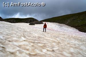 [P31]  -- <small>// FĂRĂ DESCRIERE</small> » foto by AZE
 - 
<span class="allrVoted glyphicon glyphicon-heart hidden" id="av996776"></span>
<a class="m-l-10 hidden" id="sv996776" onclick="voting_Foto_DelVot(,996776,4076)" role="button">șterge vot <span class="glyphicon glyphicon-remove"></span></a>
<a id="v9996776" class=" c-red"  onclick="voting_Foto_SetVot(996776)" role="button"><span class="glyphicon glyphicon-heart-empty"></span> <b>LIKE</b> = Votează poza</a> <img class="hidden"  id="f996776W9" src="/imagini/loader.gif" border="0" /><span class="AjErrMes hidden" id="e996776ErM"></span>