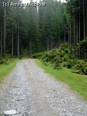 [P04] De aici incepe urcarea, pe partea dreapta » foto by Denisa13
 - 
<span class="allrVoted glyphicon glyphicon-heart hidden" id="av969683"></span>
<a class="m-l-10 hidden" id="sv969683" onclick="voting_Foto_DelVot(,969683,4076)" role="button">șterge vot <span class="glyphicon glyphicon-remove"></span></a>
<a id="v9969683" class=" c-red"  onclick="voting_Foto_SetVot(969683)" role="button"><span class="glyphicon glyphicon-heart-empty"></span> <b>LIKE</b> = Votează poza</a> <img class="hidden"  id="f969683W9" src="/imagini/loader.gif" border="0" /><span class="AjErrMes hidden" id="e969683ErM"></span>