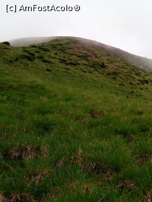 [P07] Aproape in varf » foto by Denisa13
 - 
<span class="allrVoted glyphicon glyphicon-heart hidden" id="av969697"></span>
<a class="m-l-10 hidden" id="sv969697" onclick="voting_Foto_DelVot(,969697,4076)" role="button">șterge vot <span class="glyphicon glyphicon-remove"></span></a>
<a id="v9969697" class=" c-red"  onclick="voting_Foto_SetVot(969697)" role="button"><span class="glyphicon glyphicon-heart-empty"></span> <b>LIKE</b> = Votează poza</a> <img class="hidden"  id="f969697W9" src="/imagini/loader.gif" border="0" /><span class="AjErrMes hidden" id="e969697ErM"></span>