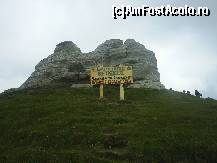 [P04]  -- <small>// FĂRĂ DESCRIERE</small> » foto by Alexandra92
 - 
<span class="allrVoted glyphicon glyphicon-heart hidden" id="av384266"></span>
<a class="m-l-10 hidden" id="sv384266" onclick="voting_Foto_DelVot(,384266,4076)" role="button">șterge vot <span class="glyphicon glyphicon-remove"></span></a>
<a id="v9384266" class=" c-red"  onclick="voting_Foto_SetVot(384266)" role="button"><span class="glyphicon glyphicon-heart-empty"></span> <b>LIKE</b> = Votează poza</a> <img class="hidden"  id="f384266W9" src="/imagini/loader.gif" border="0" /><span class="AjErrMes hidden" id="e384266ErM"></span>