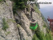 [P05]  -- <small>// FĂRĂ DESCRIERE</small> » foto by Alexandra92
 - 
<span class="allrVoted glyphicon glyphicon-heart hidden" id="av384267"></span>
<a class="m-l-10 hidden" id="sv384267" onclick="voting_Foto_DelVot(,384267,4076)" role="button">șterge vot <span class="glyphicon glyphicon-remove"></span></a>
<a id="v9384267" class=" c-red"  onclick="voting_Foto_SetVot(384267)" role="button"><span class="glyphicon glyphicon-heart-empty"></span> <b>LIKE</b> = Votează poza</a> <img class="hidden"  id="f384267W9" src="/imagini/loader.gif" border="0" /><span class="AjErrMes hidden" id="e384267ErM"></span>