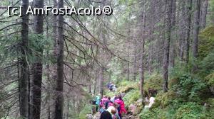 [P11] Atata lume pe un traseu n-am vazut niciodata.  » foto by Aurici
 - 
<span class="allrVoted glyphicon glyphicon-heart hidden" id="av900205"></span>
<a class="m-l-10 hidden" id="sv900205" onclick="voting_Foto_DelVot(,900205,4076)" role="button">șterge vot <span class="glyphicon glyphicon-remove"></span></a>
<a id="v9900205" class=" c-red"  onclick="voting_Foto_SetVot(900205)" role="button"><span class="glyphicon glyphicon-heart-empty"></span> <b>LIKE</b> = Votează poza</a> <img class="hidden"  id="f900205W9" src="/imagini/loader.gif" border="0" /><span class="AjErrMes hidden" id="e900205ErM"></span>