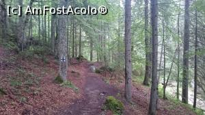 [P06] Traseul este marcat foarte bine cu cruce albastra.  » foto by Aurici
 - 
<span class="allrVoted glyphicon glyphicon-heart hidden" id="av900200"></span>
<a class="m-l-10 hidden" id="sv900200" onclick="voting_Foto_DelVot(,900200,4076)" role="button">șterge vot <span class="glyphicon glyphicon-remove"></span></a>
<a id="v9900200" class=" c-red"  onclick="voting_Foto_SetVot(900200)" role="button"><span class="glyphicon glyphicon-heart-empty"></span> <b>LIKE</b> = Votează poza</a> <img class="hidden"  id="f900200W9" src="/imagini/loader.gif" border="0" /><span class="AjErrMes hidden" id="e900200ErM"></span>