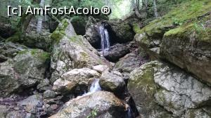 [P08] Din cauza ploii in ziua aceea a fost multa apa care se scurgea peste tot.  » foto by Aurici
 - 
<span class="allrVoted glyphicon glyphicon-heart hidden" id="av900202"></span>
<a class="m-l-10 hidden" id="sv900202" onclick="voting_Foto_DelVot(,900202,4076)" role="button">șterge vot <span class="glyphicon glyphicon-remove"></span></a>
<a id="v9900202" class=" c-red"  onclick="voting_Foto_SetVot(900202)" role="button"><span class="glyphicon glyphicon-heart-empty"></span> <b>LIKE</b> = Votează poza</a> <img class="hidden"  id="f900202W9" src="/imagini/loader.gif" border="0" /><span class="AjErrMes hidden" id="e900202ErM"></span>