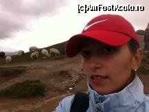 [P12] Eu cu niste mioare :)  » foto by Xla
 - 
<span class="allrVoted glyphicon glyphicon-heart hidden" id="av449873"></span>
<a class="m-l-10 hidden" id="sv449873" onclick="voting_Foto_DelVot(,449873,4076)" role="button">șterge vot <span class="glyphicon glyphicon-remove"></span></a>
<a id="v9449873" class=" c-red"  onclick="voting_Foto_SetVot(449873)" role="button"><span class="glyphicon glyphicon-heart-empty"></span> <b>LIKE</b> = Votează poza</a> <img class="hidden"  id="f449873W9" src="/imagini/loader.gif" border="0" /><span class="AjErrMes hidden" id="e449873ErM"></span>