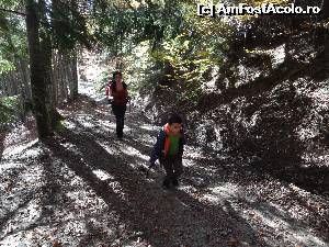 [P11]  -- <small>// FĂRĂ DESCRIERE</small> » foto by wolf2001*
 - 
<span class="allrVoted glyphicon glyphicon-heart hidden" id="av582502"></span>
<a class="m-l-10 hidden" id="sv582502" onclick="voting_Foto_DelVot(,582502,4076)" role="button">șterge vot <span class="glyphicon glyphicon-remove"></span></a>
<a id="v9582502" class=" c-red"  onclick="voting_Foto_SetVot(582502)" role="button"><span class="glyphicon glyphicon-heart-empty"></span> <b>LIKE</b> = Votează poza</a> <img class="hidden"  id="f582502W9" src="/imagini/loader.gif" border="0" /><span class="AjErrMes hidden" id="e582502ErM"></span>