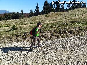 [P18]  -- <small>// FĂRĂ DESCRIERE</small> » foto by wolf2001*
 - 
<span class="allrVoted glyphicon glyphicon-heart hidden" id="av582510"></span>
<a class="m-l-10 hidden" id="sv582510" onclick="voting_Foto_DelVot(,582510,4076)" role="button">șterge vot <span class="glyphicon glyphicon-remove"></span></a>
<a id="v9582510" class=" c-red"  onclick="voting_Foto_SetVot(582510)" role="button"><span class="glyphicon glyphicon-heart-empty"></span> <b>LIKE</b> = Votează poza</a> <img class="hidden"  id="f582510W9" src="/imagini/loader.gif" border="0" /><span class="AjErrMes hidden" id="e582510ErM"></span>