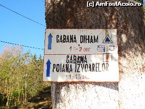 [P02]  -- <small>// FĂRĂ DESCRIERE</small> » foto by wolf2001*
 - 
<span class="allrVoted glyphicon glyphicon-heart hidden" id="av582493"></span>
<a class="m-l-10 hidden" id="sv582493" onclick="voting_Foto_DelVot(,582493,4076)" role="button">șterge vot <span class="glyphicon glyphicon-remove"></span></a>
<a id="v9582493" class=" c-red"  onclick="voting_Foto_SetVot(582493)" role="button"><span class="glyphicon glyphicon-heart-empty"></span> <b>LIKE</b> = Votează poza</a> <img class="hidden"  id="f582493W9" src="/imagini/loader.gif" border="0" /><span class="AjErrMes hidden" id="e582493ErM"></span>