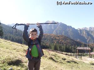 [P20]  -- <small>// FĂRĂ DESCRIERE</small> » foto by wolf2001*
 - 
<span class="allrVoted glyphicon glyphicon-heart hidden" id="av582513"></span>
<a class="m-l-10 hidden" id="sv582513" onclick="voting_Foto_DelVot(,582513,4076)" role="button">șterge vot <span class="glyphicon glyphicon-remove"></span></a>
<a id="v9582513" class=" c-red"  onclick="voting_Foto_SetVot(582513)" role="button"><span class="glyphicon glyphicon-heart-empty"></span> <b>LIKE</b> = Votează poza</a> <img class="hidden"  id="f582513W9" src="/imagini/loader.gif" border="0" /><span class="AjErrMes hidden" id="e582513ErM"></span>