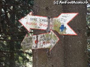 [P22]  -- <small>// FĂRĂ DESCRIERE</small> » foto by wolf2001*
 - 
<span class="allrVoted glyphicon glyphicon-heart hidden" id="av582515"></span>
<a class="m-l-10 hidden" id="sv582515" onclick="voting_Foto_DelVot(,582515,4076)" role="button">șterge vot <span class="glyphicon glyphicon-remove"></span></a>
<a id="v9582515" class=" c-red"  onclick="voting_Foto_SetVot(582515)" role="button"><span class="glyphicon glyphicon-heart-empty"></span> <b>LIKE</b> = Votează poza</a> <img class="hidden"  id="f582515W9" src="/imagini/loader.gif" border="0" /><span class="AjErrMes hidden" id="e582515ErM"></span>