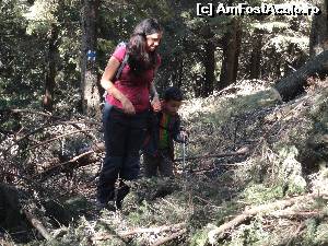 [P23]  -- <small>// FĂRĂ DESCRIERE</small> » foto by wolf2001*
 - 
<span class="allrVoted glyphicon glyphicon-heart hidden" id="av582516"></span>
<a class="m-l-10 hidden" id="sv582516" onclick="voting_Foto_DelVot(,582516,4076)" role="button">șterge vot <span class="glyphicon glyphicon-remove"></span></a>
<a id="v9582516" class=" c-red"  onclick="voting_Foto_SetVot(582516)" role="button"><span class="glyphicon glyphicon-heart-empty"></span> <b>LIKE</b> = Votează poza</a> <img class="hidden"  id="f582516W9" src="/imagini/loader.gif" border="0" /><span class="AjErrMes hidden" id="e582516ErM"></span>