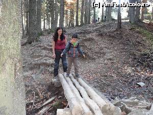 [P30]  -- <small>// FĂRĂ DESCRIERE</small> » foto by wolf2001*
 - 
<span class="allrVoted glyphicon glyphicon-heart hidden" id="av582524"></span>
<a class="m-l-10 hidden" id="sv582524" onclick="voting_Foto_DelVot(,582524,4076)" role="button">șterge vot <span class="glyphicon glyphicon-remove"></span></a>
<a id="v9582524" class=" c-red"  onclick="voting_Foto_SetVot(582524)" role="button"><span class="glyphicon glyphicon-heart-empty"></span> <b>LIKE</b> = Votează poza</a> <img class="hidden"  id="f582524W9" src="/imagini/loader.gif" border="0" /><span class="AjErrMes hidden" id="e582524ErM"></span>